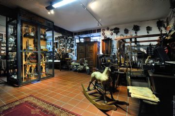 Vista interna del Museo Balbiano
